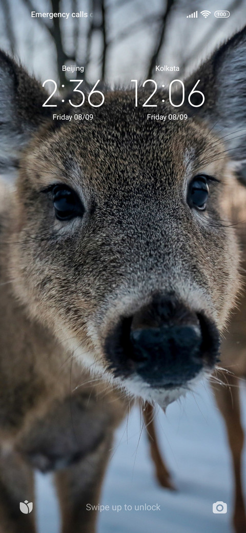 Deer screenshot
