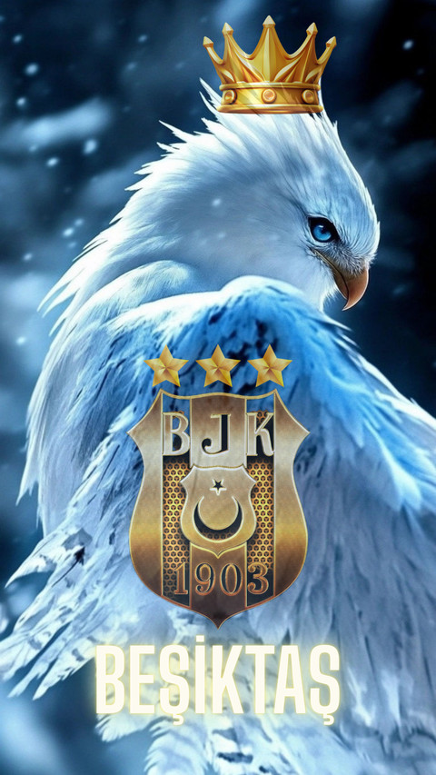 BJK-10 screenshot