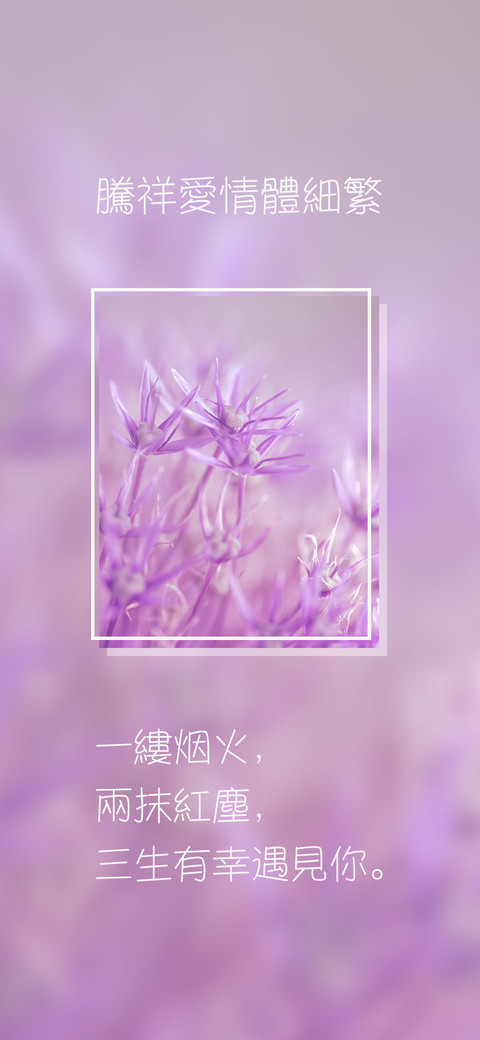 腾祥爱情体细繁 screenshot