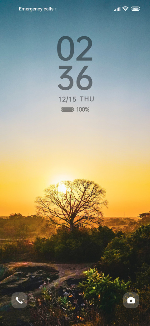 Twilight tree screenshot