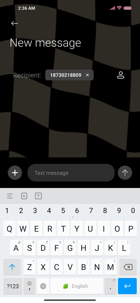 Checkerboard Bear screenshot