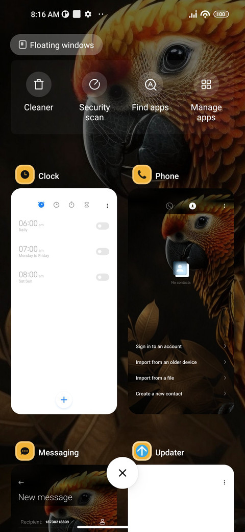 Golden Parrot screenshot