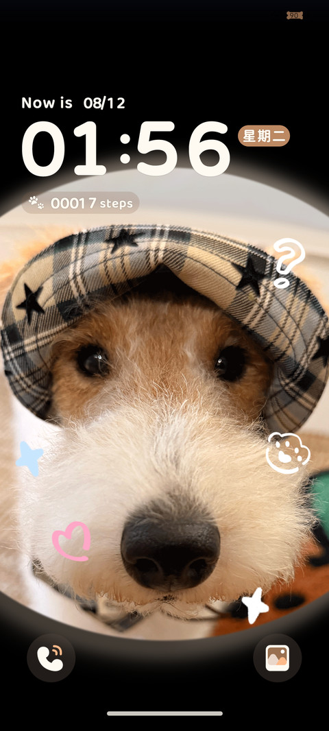 ins小狗开门系我 screenshot
