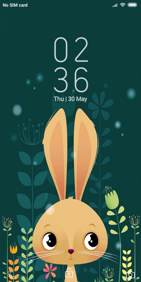 Rabbit_DWM19 screenshot