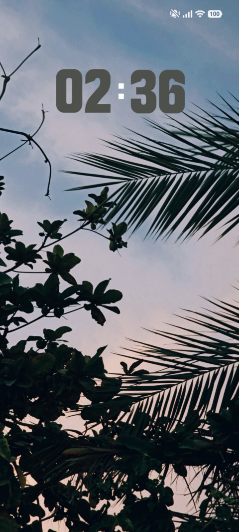 Soft Tones screenshot