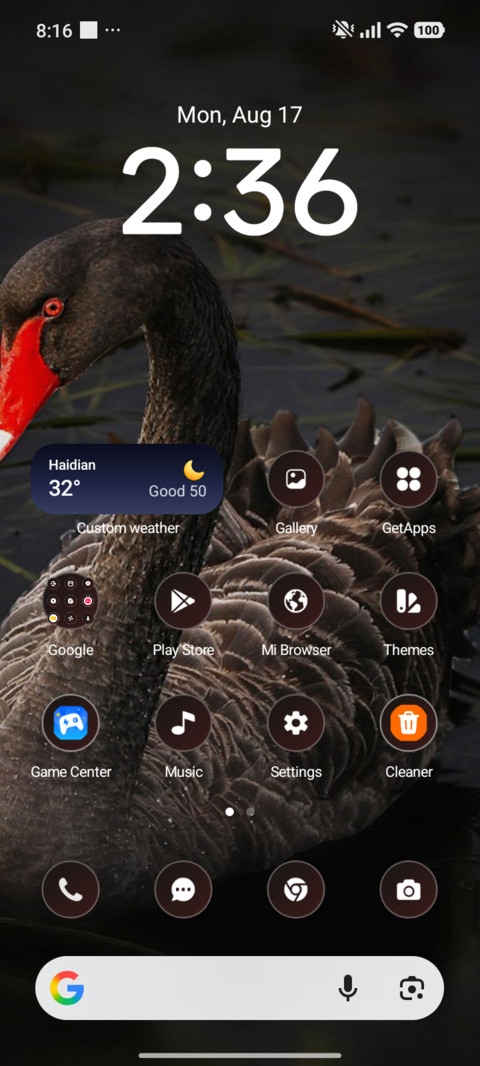 Black Swan screenshot