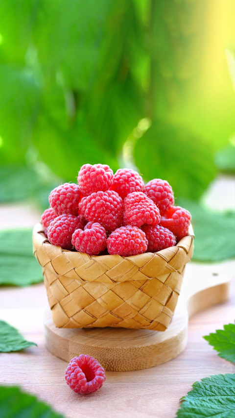 Raspberry freedom can also be achieved at home screenshot