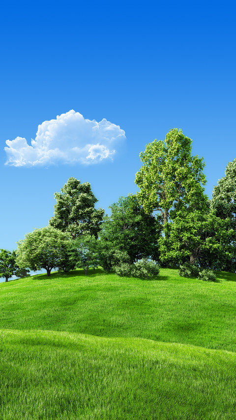 Green tree screenshot