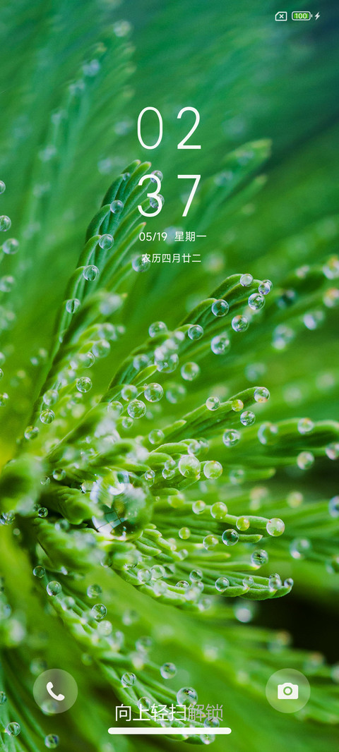清新护眼绿 screenshot