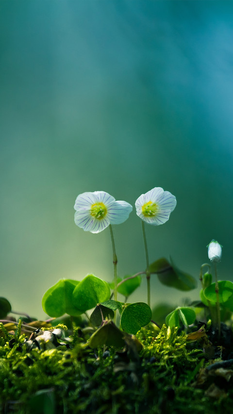Warm spring sun screenshot