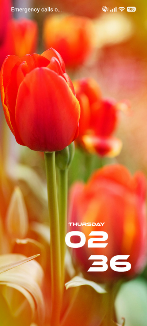 Tulip screenshot