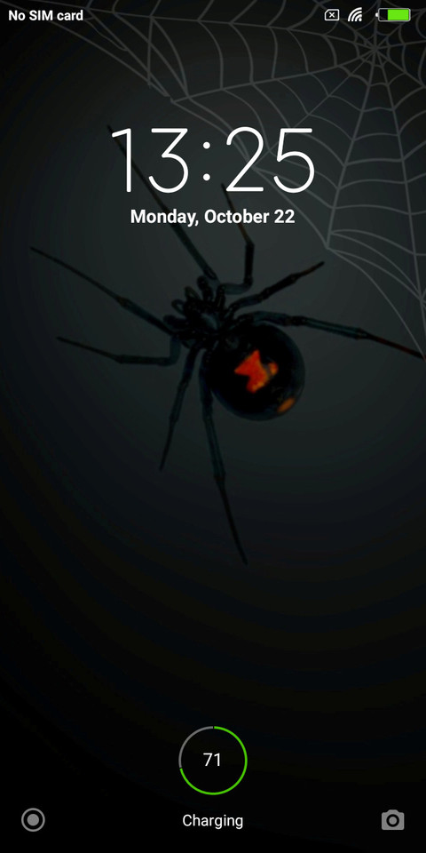 Black Widow  screenshot