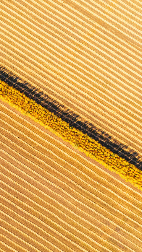 Autumn scenery of farmland screenshot