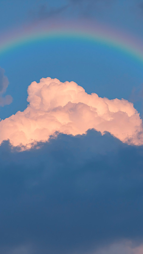 Rainbow flying bird sky screenshot