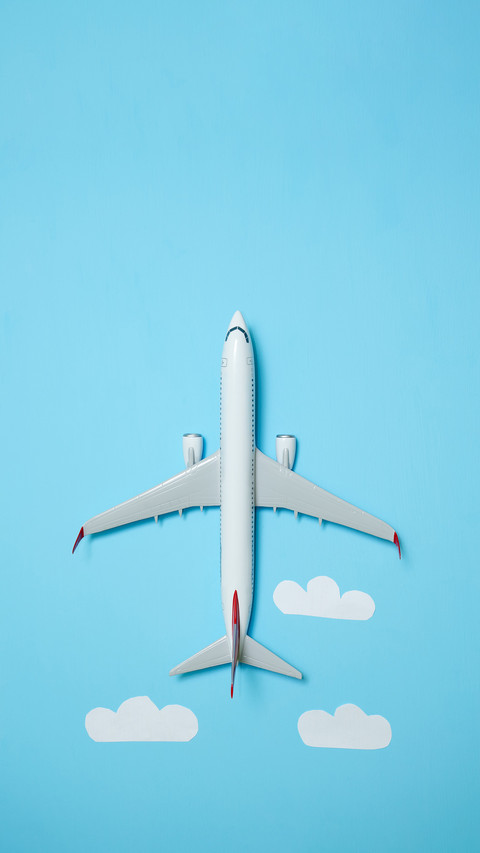 Do babies need to buy plane tickets screenshot