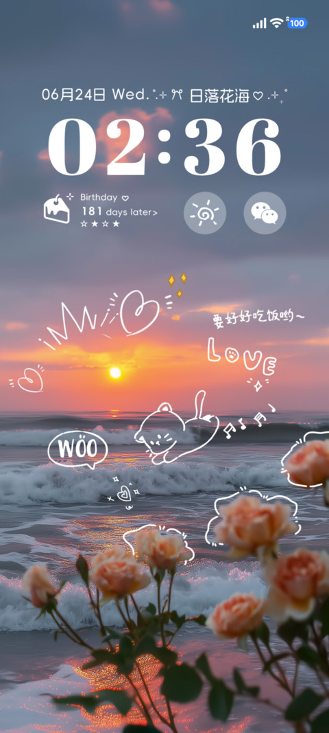 ins日落花海 screenshot