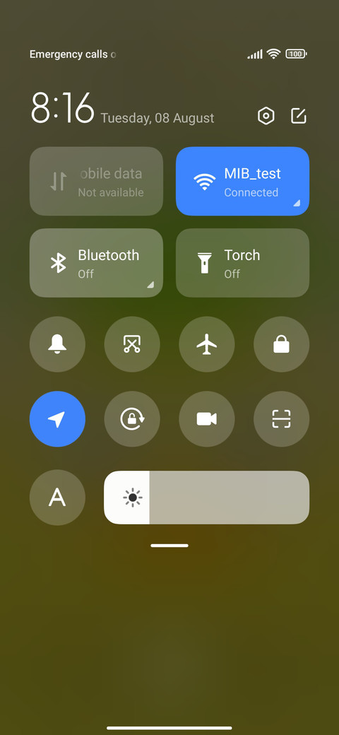 Pineapple Duck screenshot