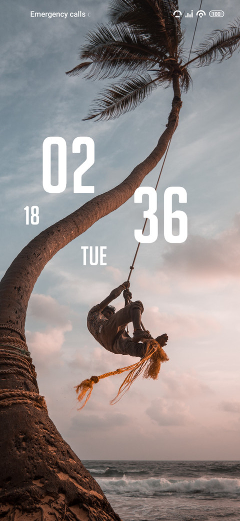Cocunut Tree screenshot