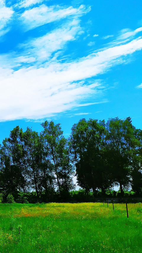landing-1277 screenshot