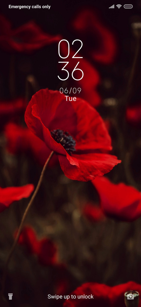 Poppy_3MDS screenshot