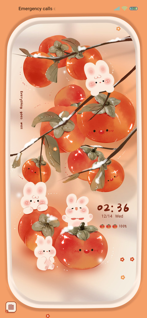 Sweet persimmon screenshot