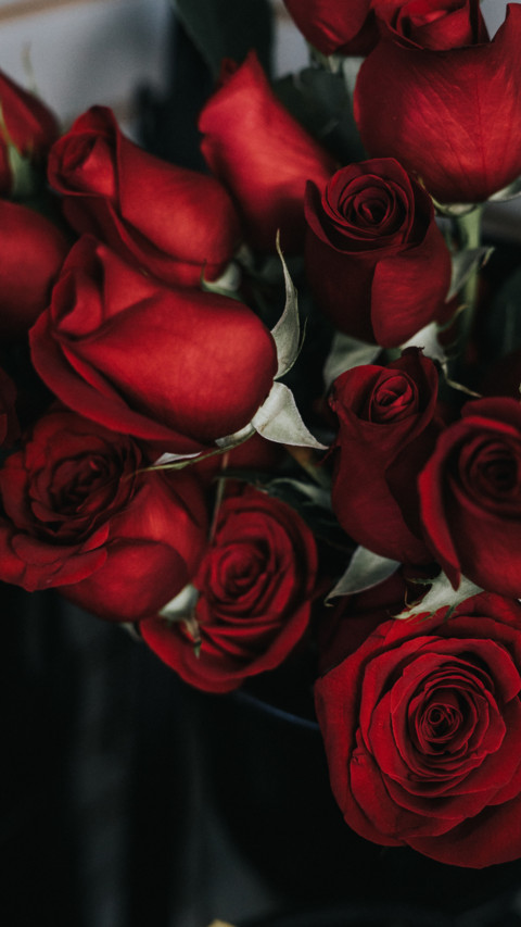 Roses and Lilacs (6) screenshot