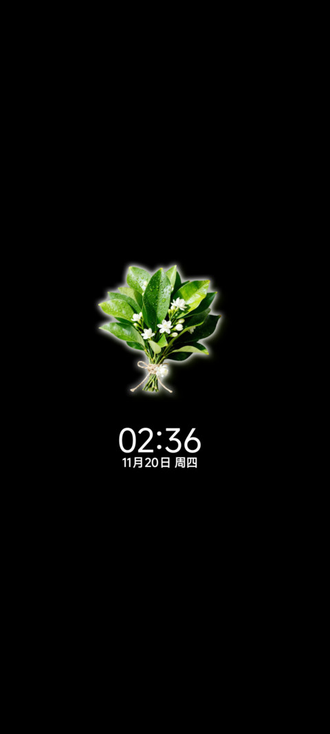 晦气退散柚子叶 screenshot