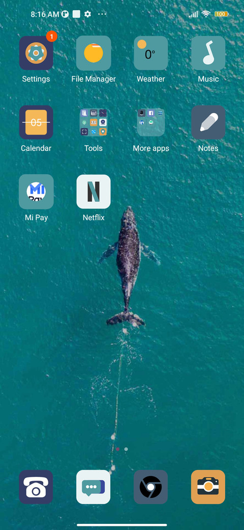 Whale emergence screenshot