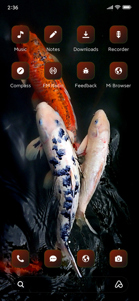 Colorful Fish screenshot