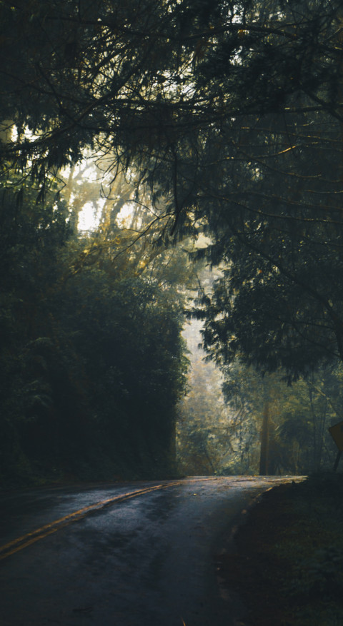 Roads & Pathways (38) screenshot
