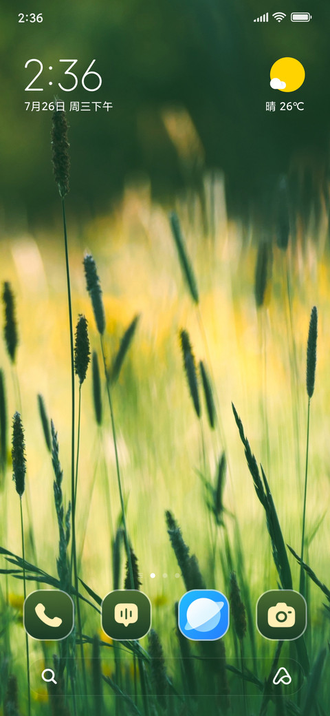 Wildflowers Meadow screenshot