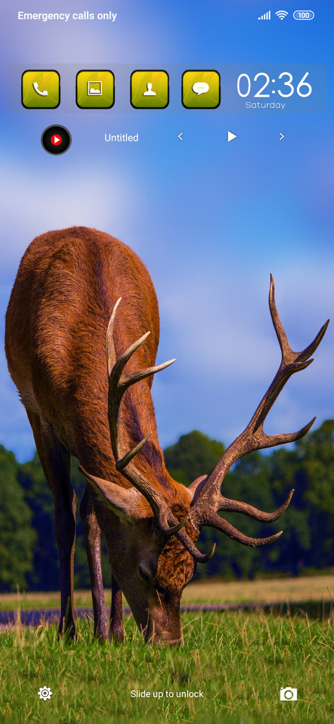 Deer fi screenshot