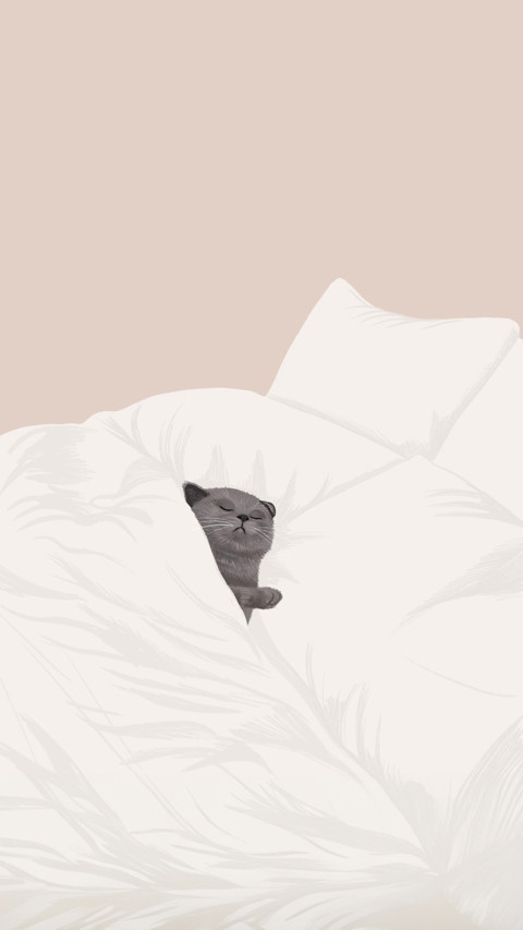 cat screenshot