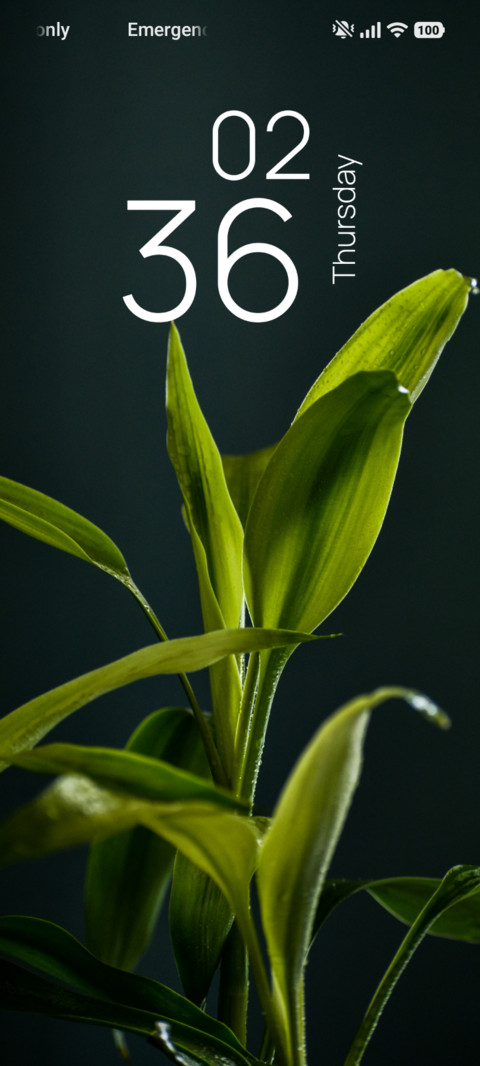 Green Canopy screenshot