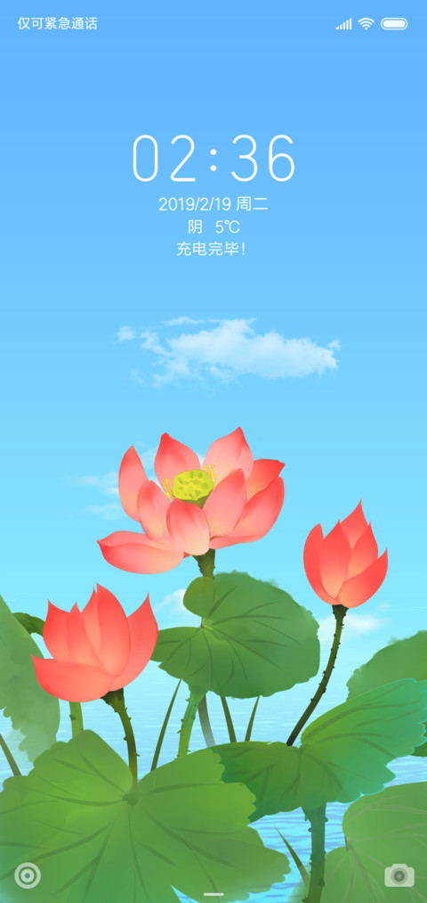 荷花 screenshot