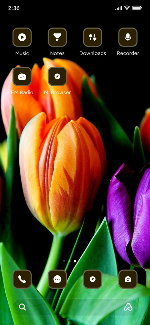 Tulips screenshot
