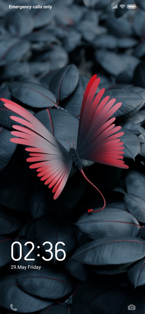 RED BUTTERFLY_DWM19 screenshot