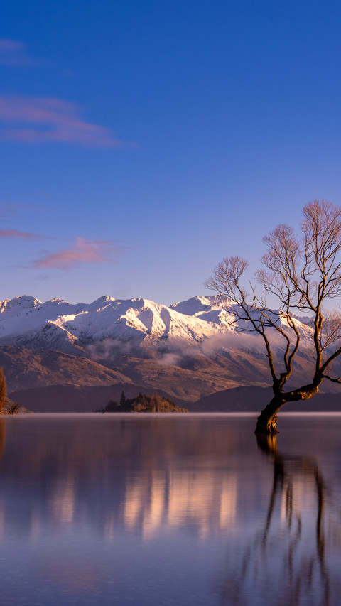 Why did wanaka outshine queenstown screenshot
