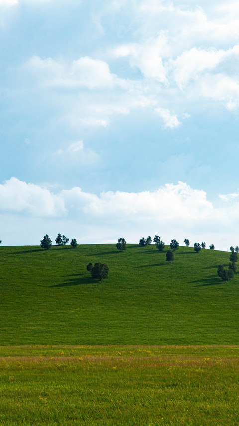 The boundless grassland is accompanied by a carefree screenshot