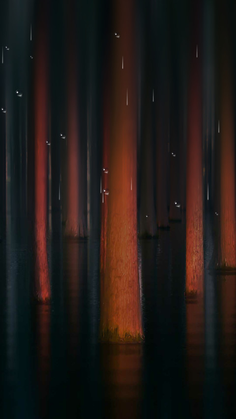 树影 screenshot