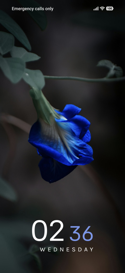 Sapphire Bloom screenshot