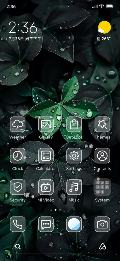 A green leaf screenshot
