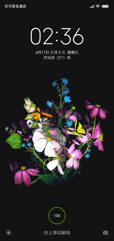 花与蝶 screenshot