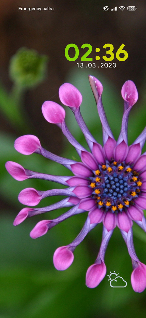daisy unique screenshot