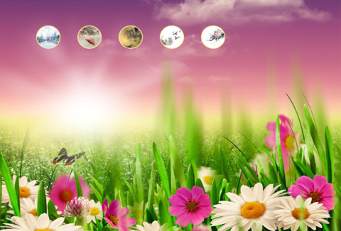 春来了 screenshot