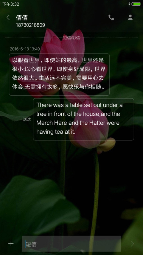 夏日荷花 screenshot
