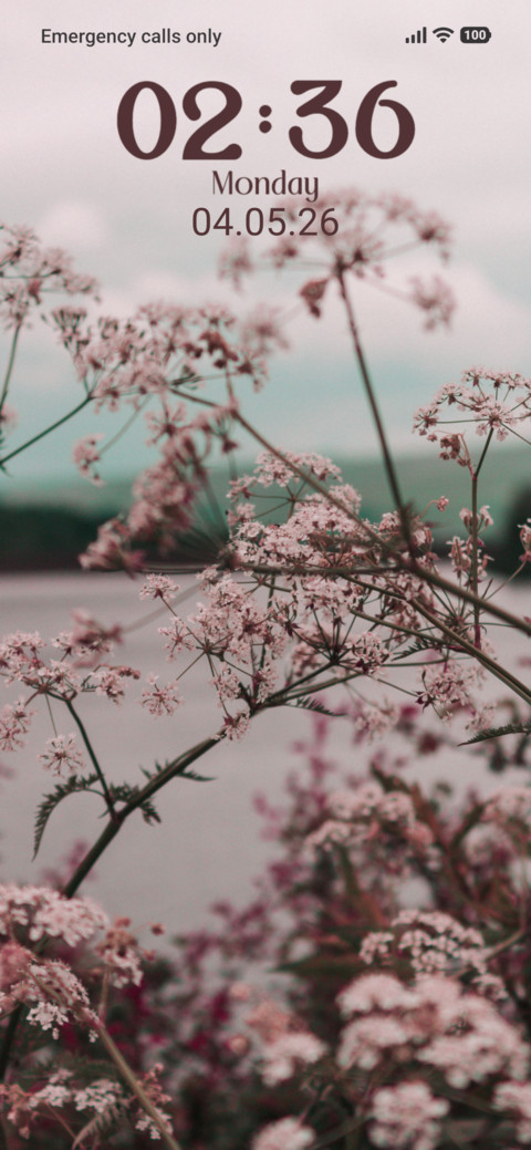 Flower screenshot