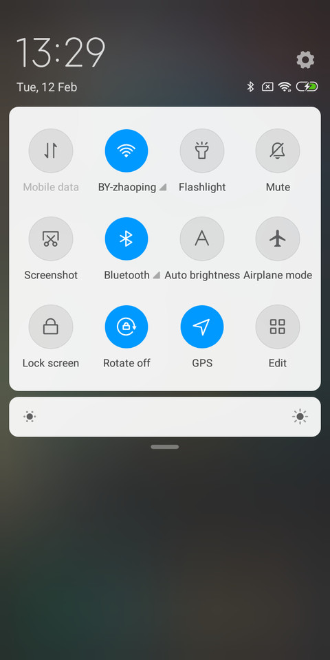 Bear screenshot