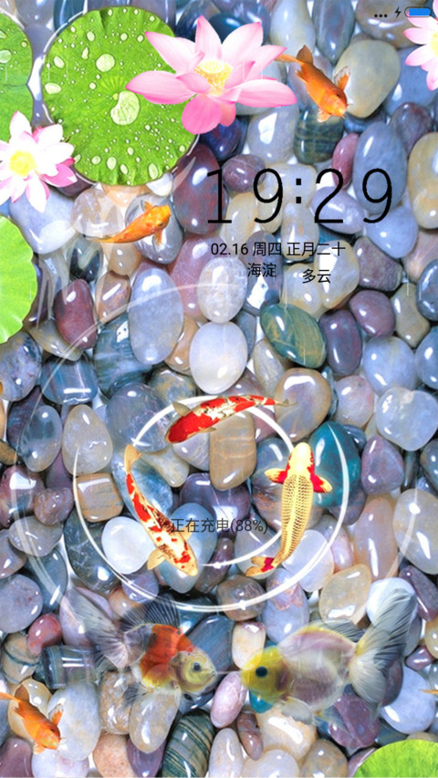 莲年有余 screenshot