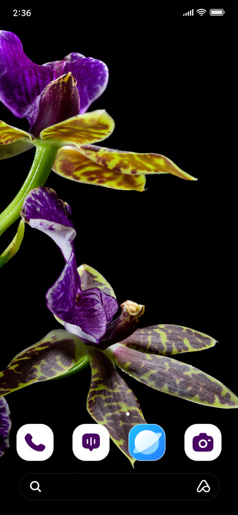 Orchid Dawn screenshot